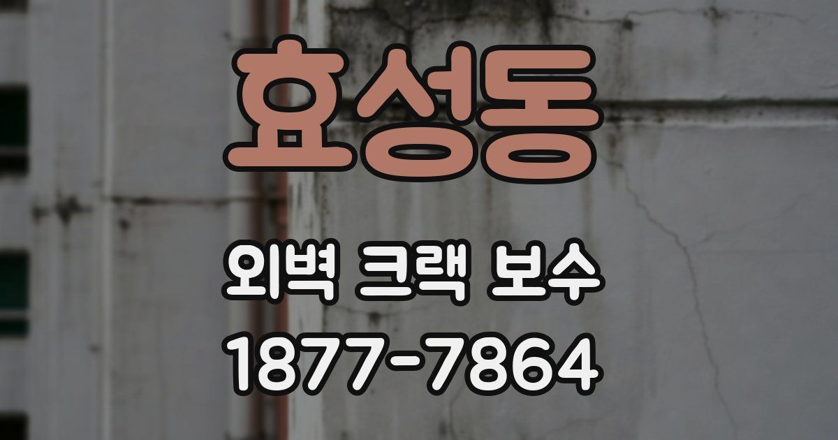효성동 외벽 크랙 보수