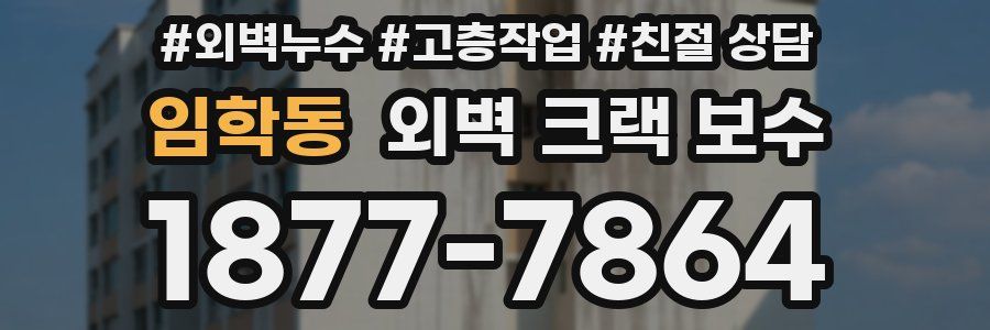 임학동 외벽 크랙 보수