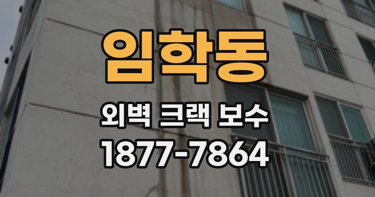 임학동 외벽 크랙 보수
