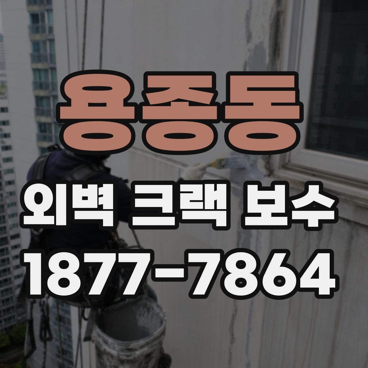 용종동 외벽 크랙 보수 범위는 어디까지 봐야 할까