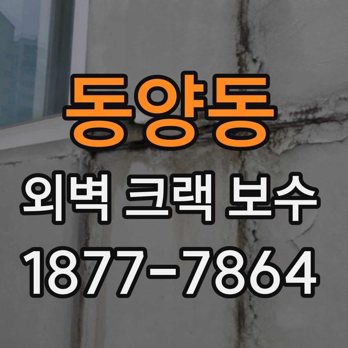 동양동 외벽 크랙 보수