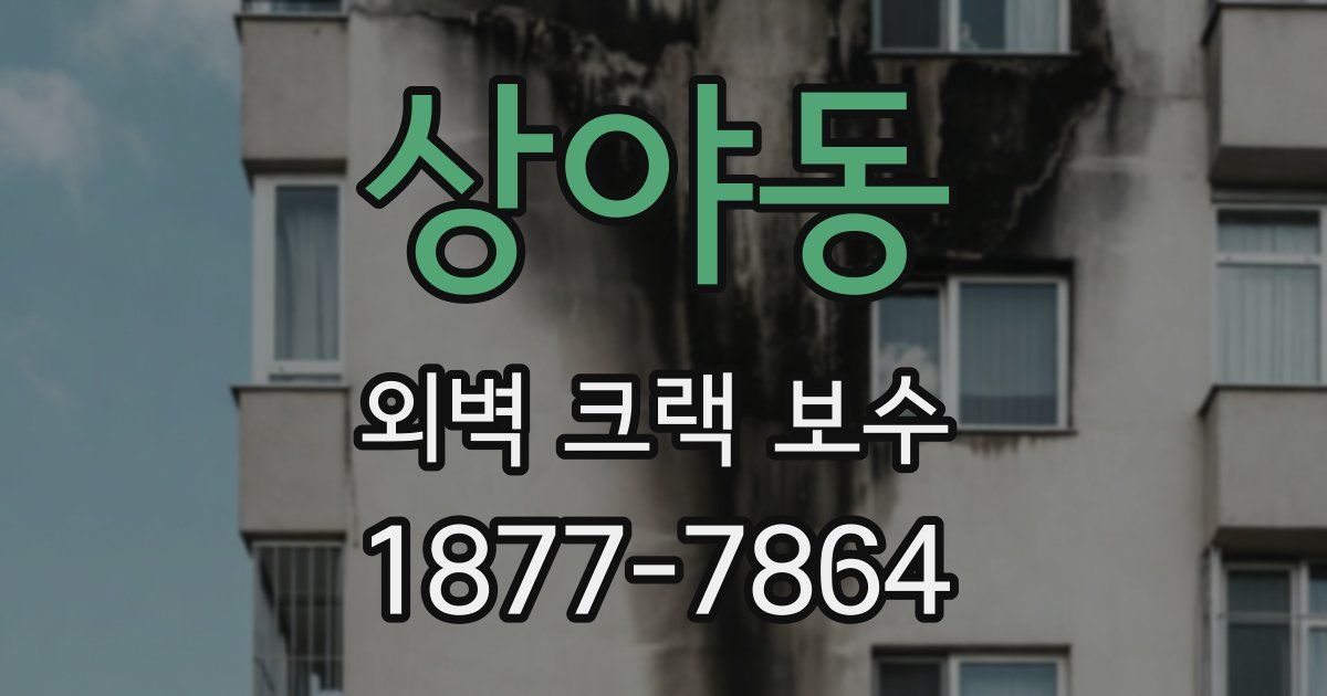 상야동 외벽 크랙 보수