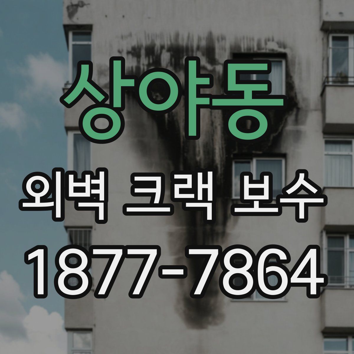 상야동 외벽 크랙 보수