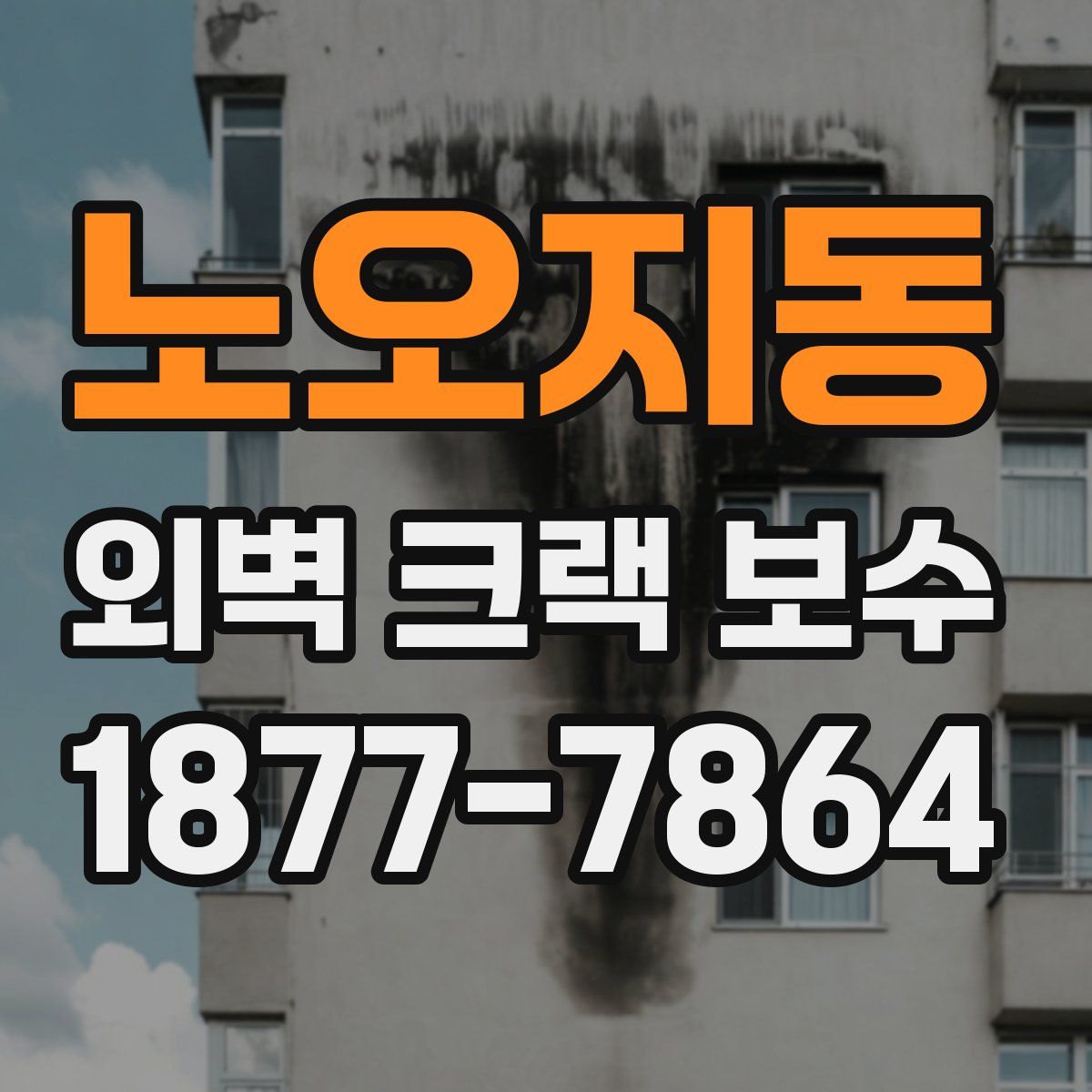 노오지동 외벽 크랙 보수