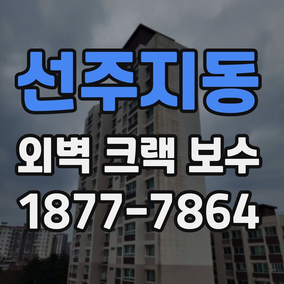 선주지동 외벽 크랙 보수