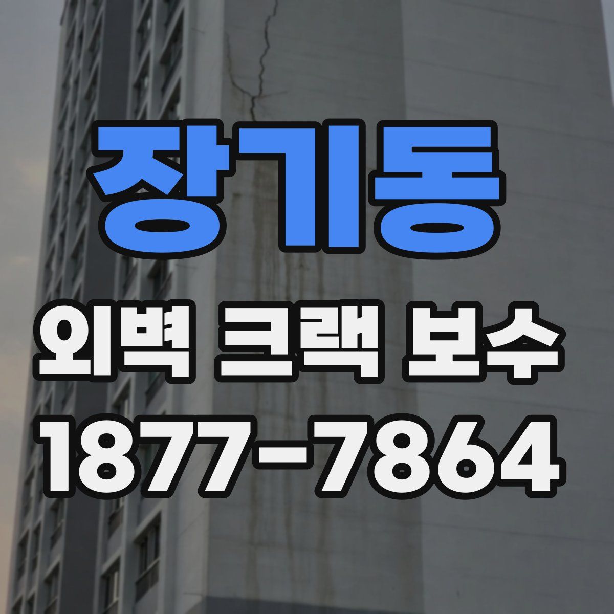 장기동 외벽 크랙 보수