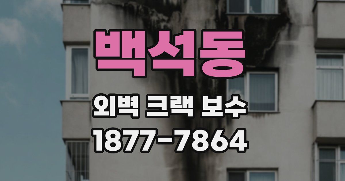 백석동 외벽 크랙 보수