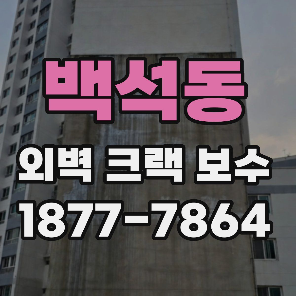 백석동 외벽 크랙 보수