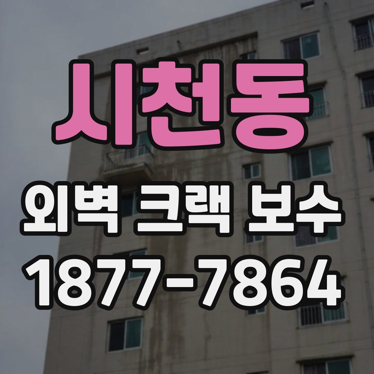 시천동 외벽 크랙 보수