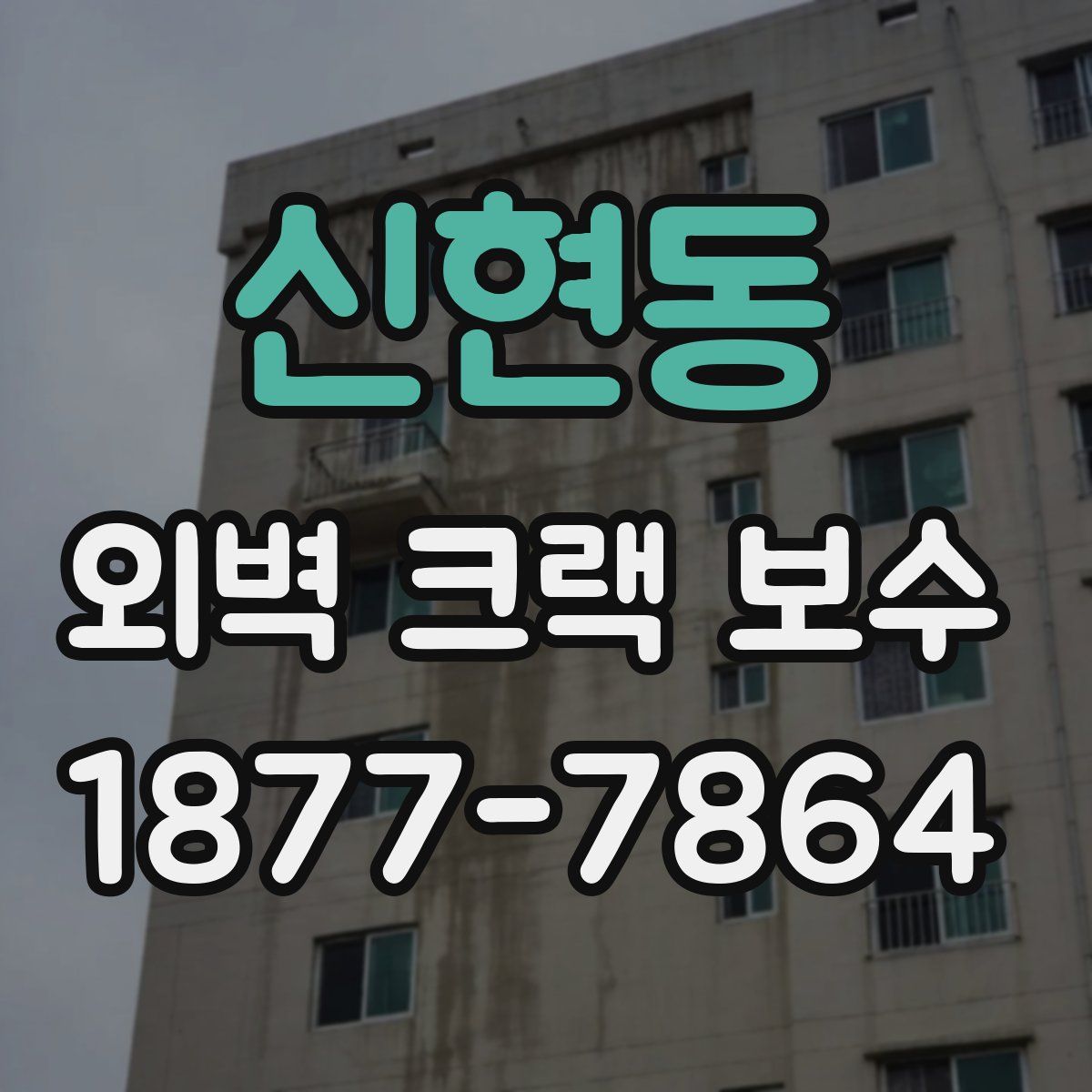 신현동 외벽 크랙 보수