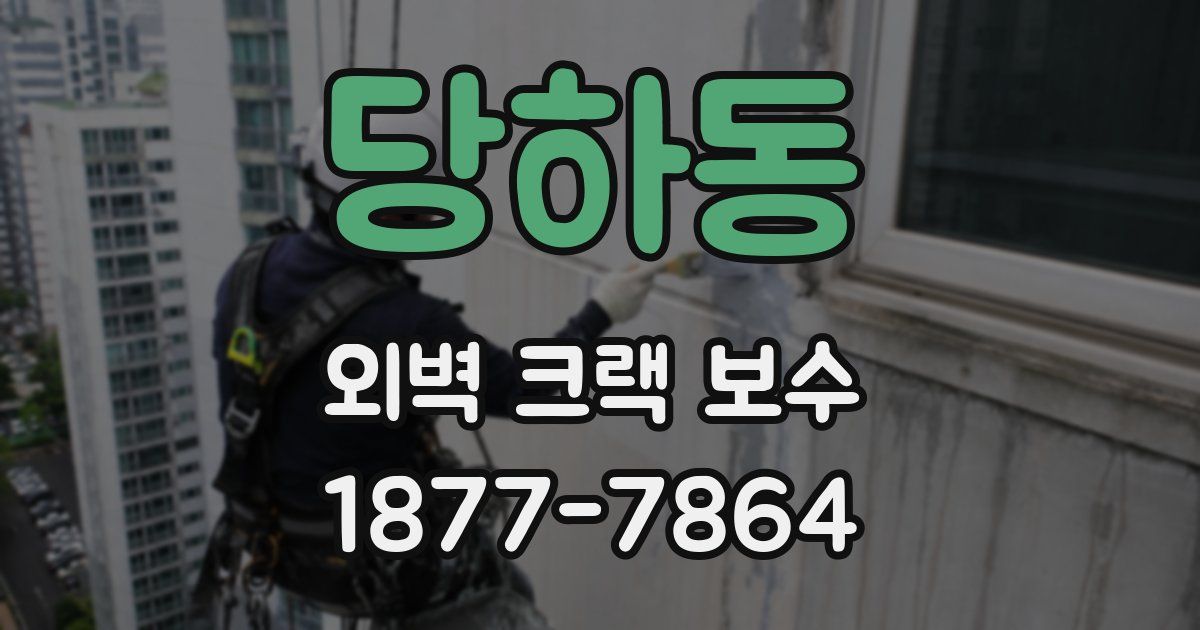 당하동 외벽 크랙 보수