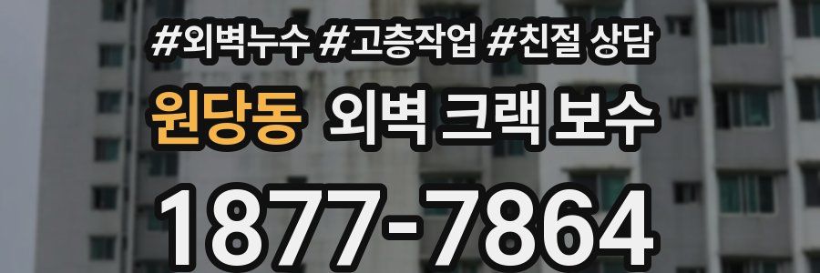 원당동 외벽 크랙 보수