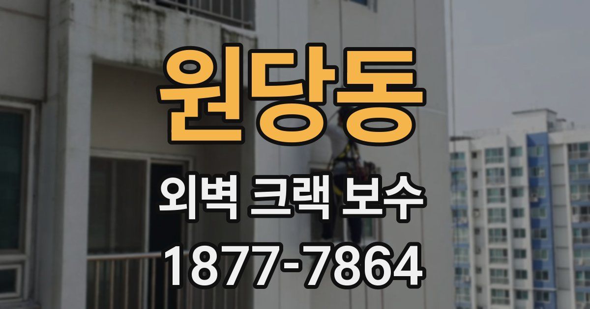 원당동 외벽 크랙 보수