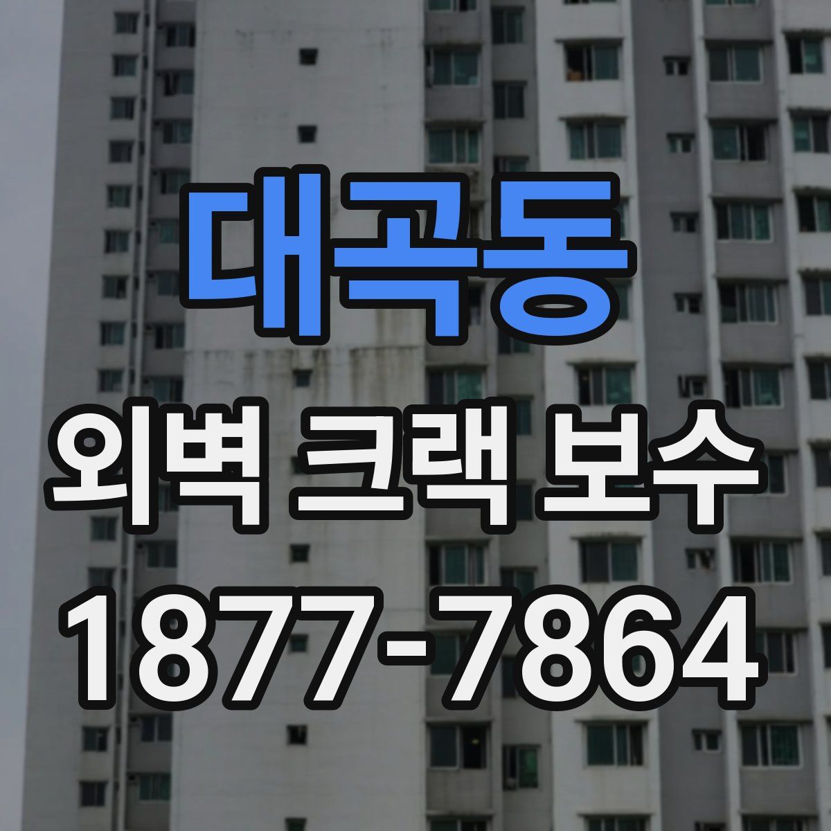 대곡동 외벽 크랙 보수