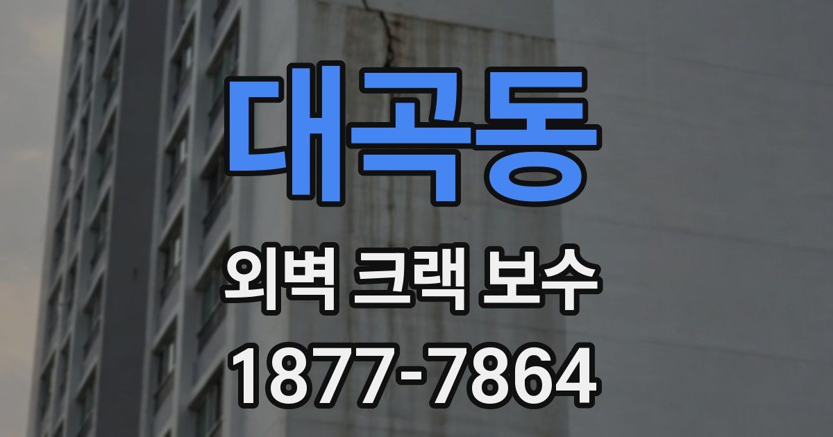 대곡동 외벽 크랙 보수