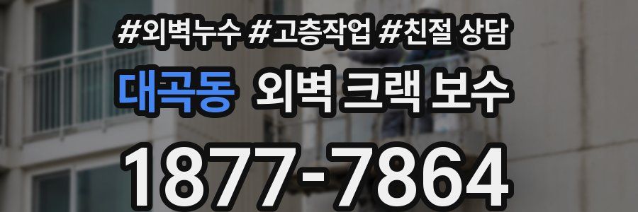 대곡동 외벽 크랙 보수