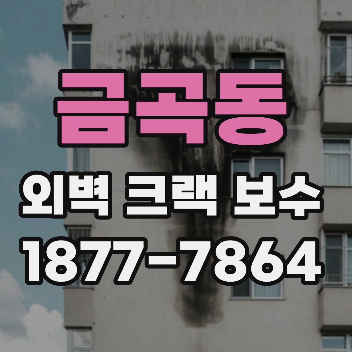 금곡동 외벽 크랙 보수