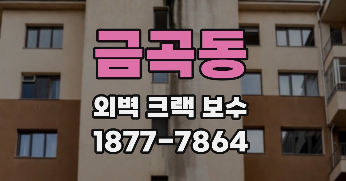 금곡동 외벽 크랙 보수