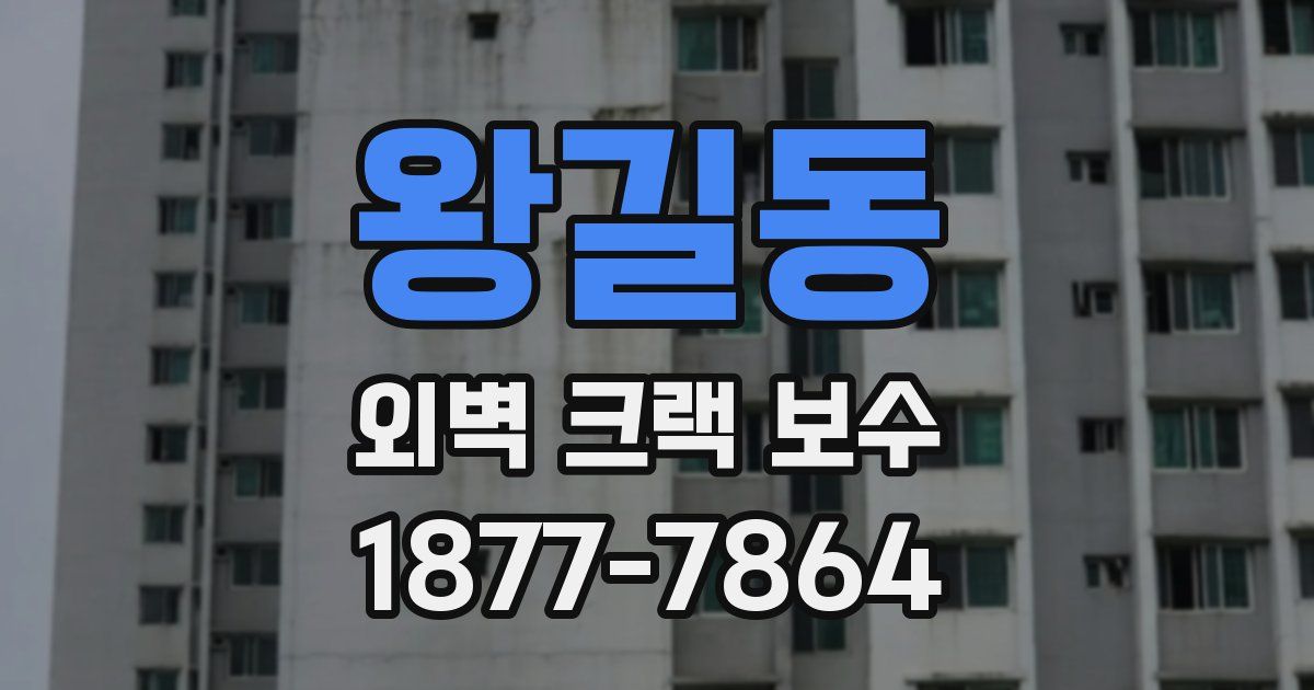 왕길동 외벽 크랙 보수
