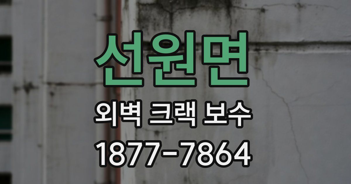 선원면 외벽 크랙 보수
