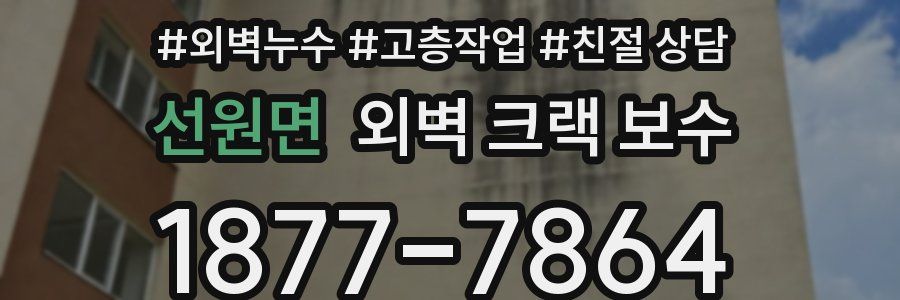 선원면 외벽 크랙 보수