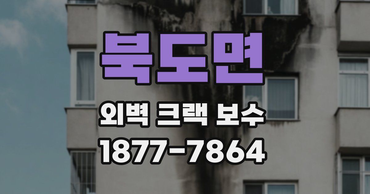 북도면 외벽 크랙 보수