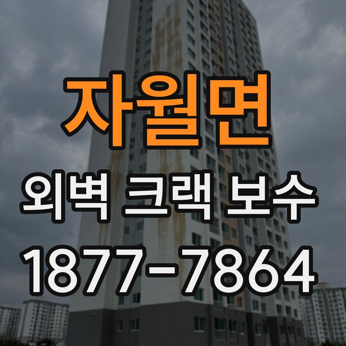 자월면 외벽 크랙 보수