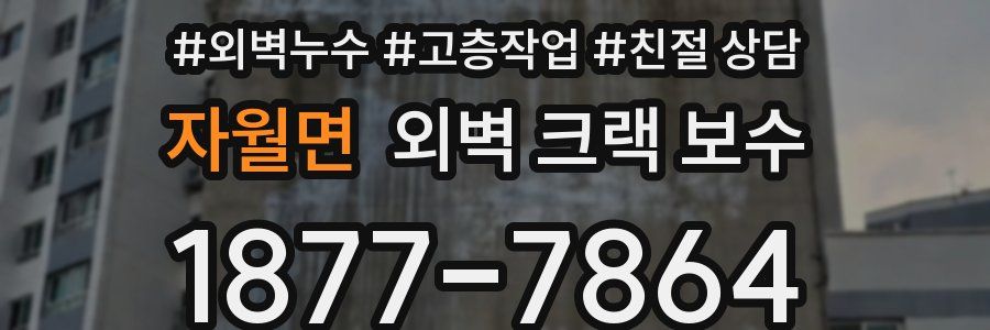 자월면 외벽 크랙 보수