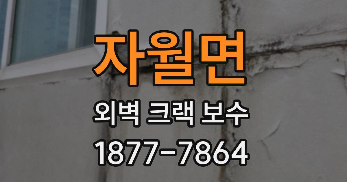 자월면 외벽 크랙 보수