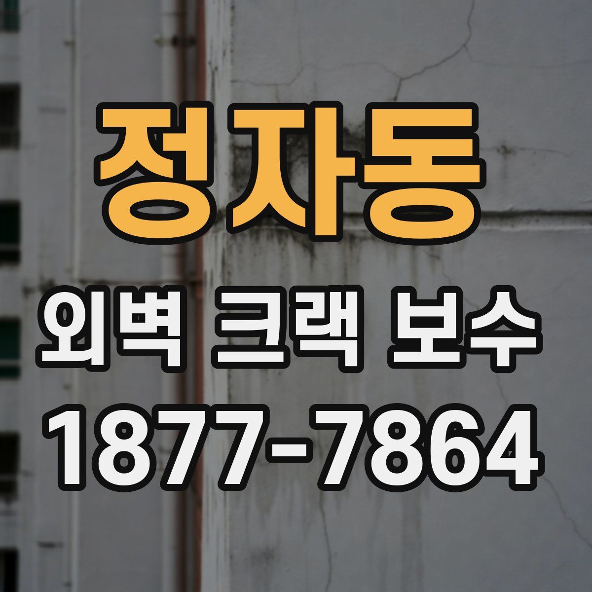 정자동 외벽 크랙 보수