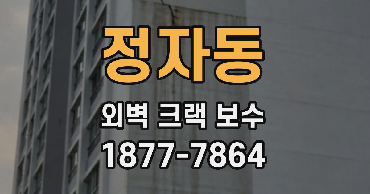 정자동 외벽 크랙 보수