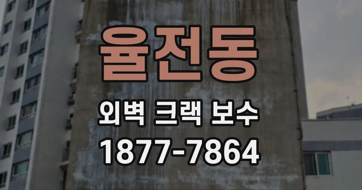 율전동 외벽 크랙 보수