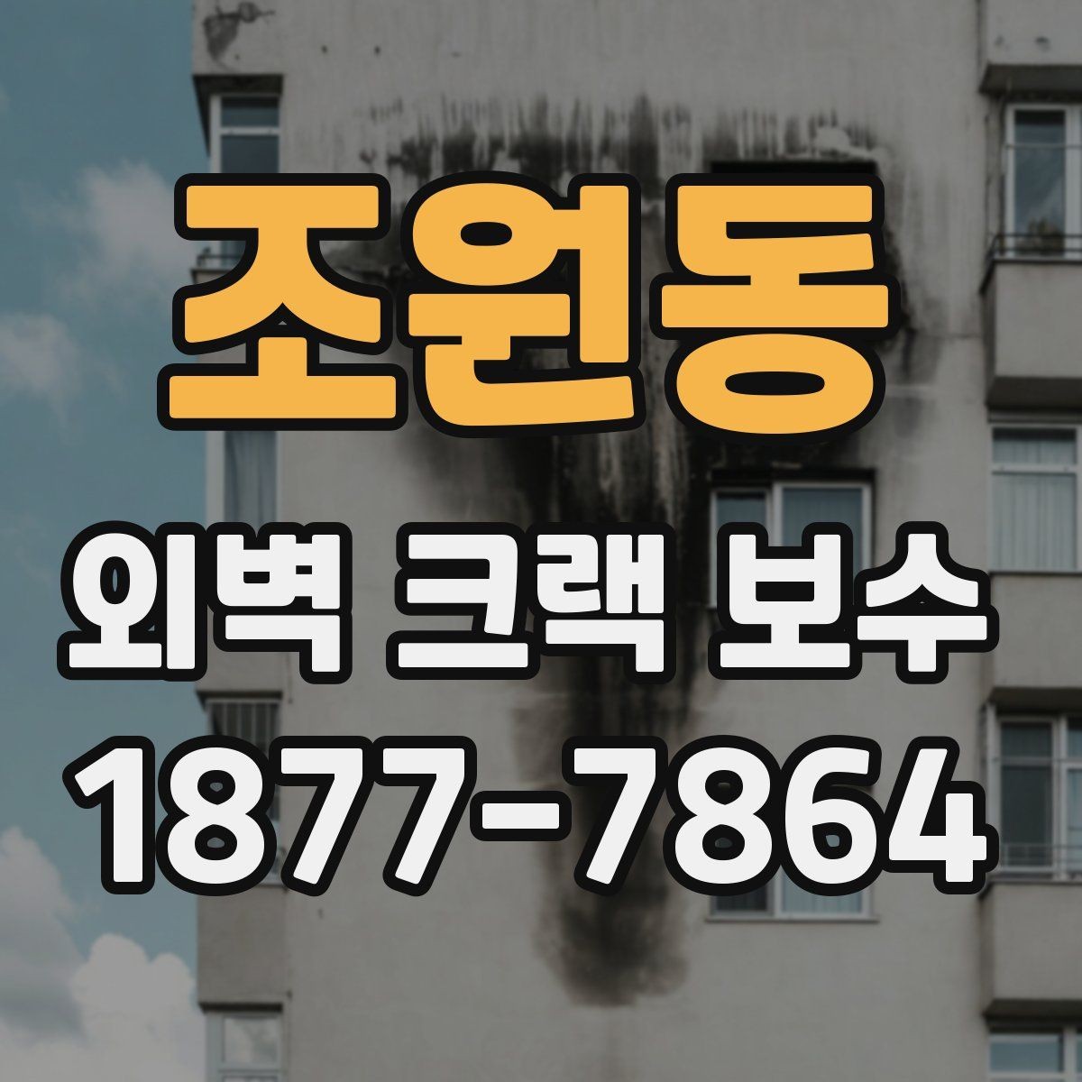 조원동 외벽 크랙 보수 시 부분 보수와 전체 보수 차이