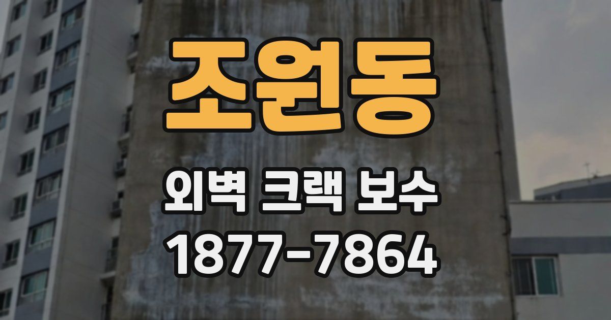 조원동 외벽 크랙 보수