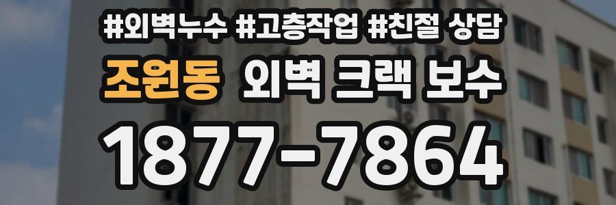 조원동 외벽 크랙 보수