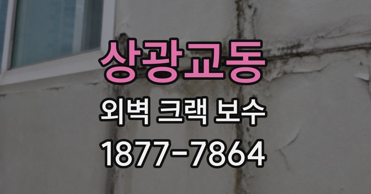상광교동 외벽 크랙 보수