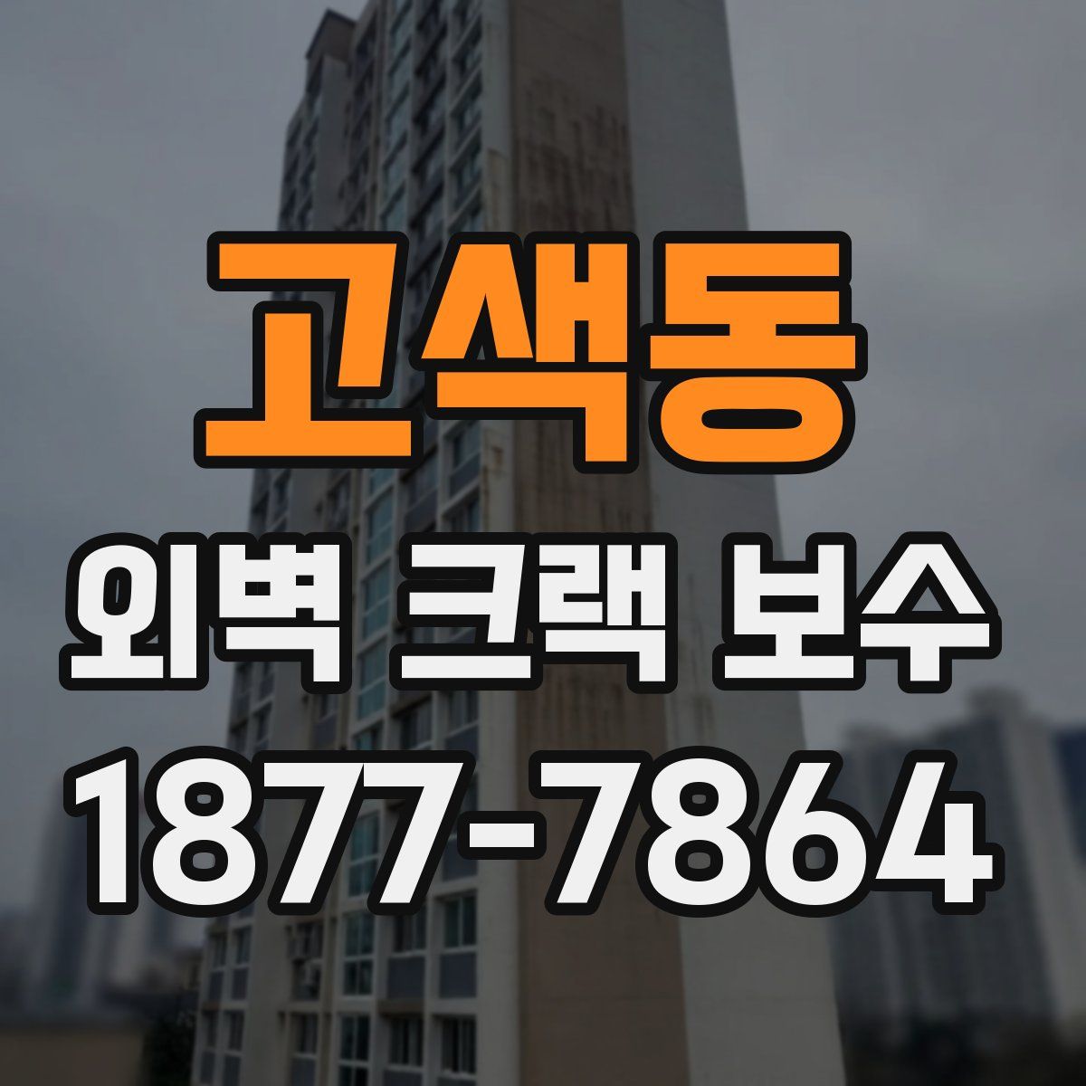 고색동 외벽 크랙 보수