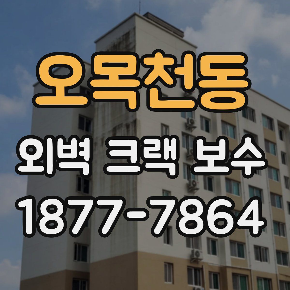 오목천동 외벽 크랙 보수
