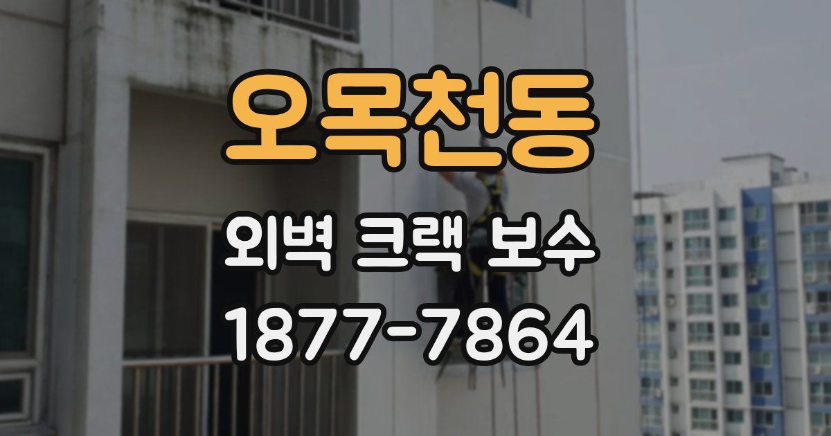 오목천동 외벽 크랙 보수