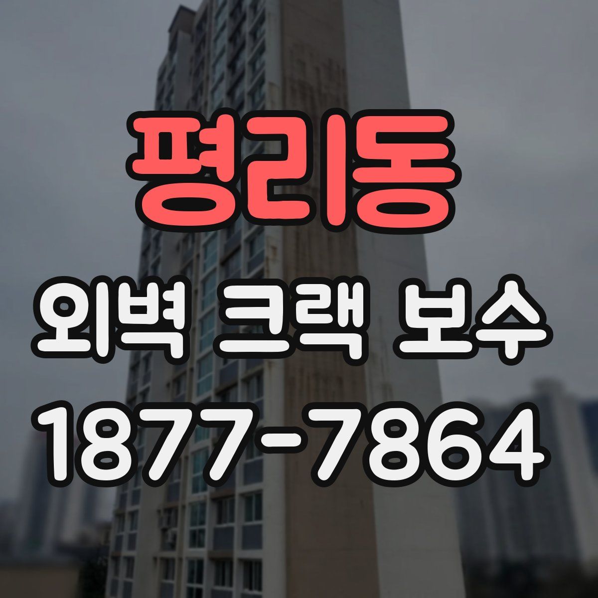평리동 외벽 크랙 보수