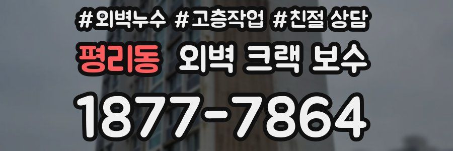 평리동 외벽 크랙 보수