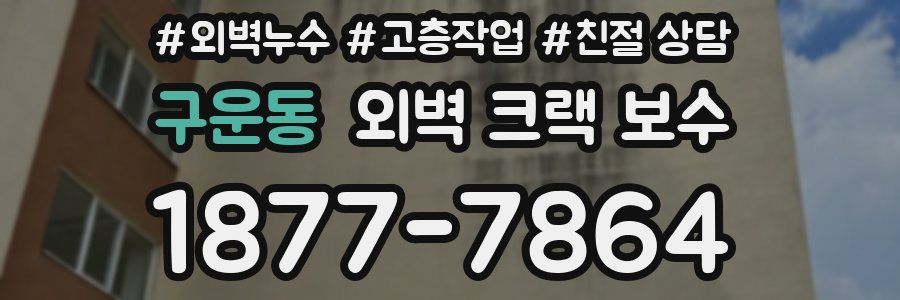구운동 외벽 크랙 보수