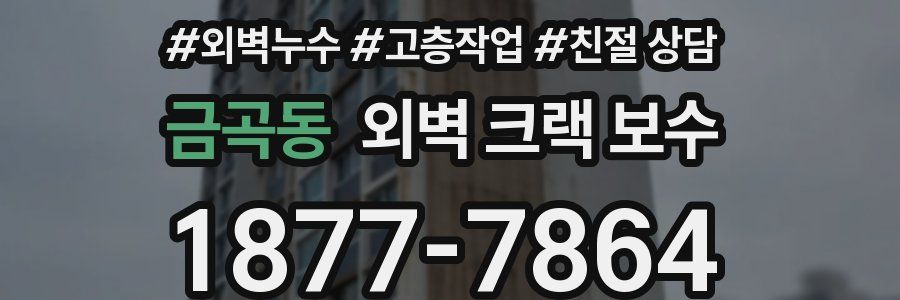 금곡동 외벽 크랙 보수