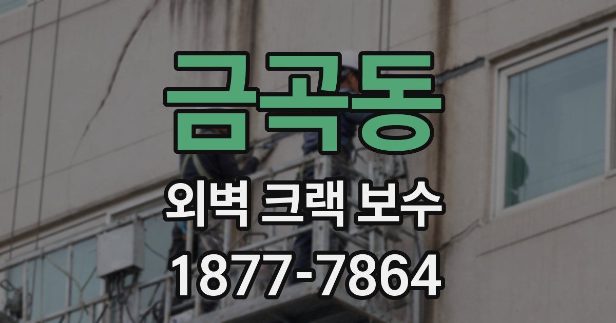 금곡동 외벽 크랙 보수