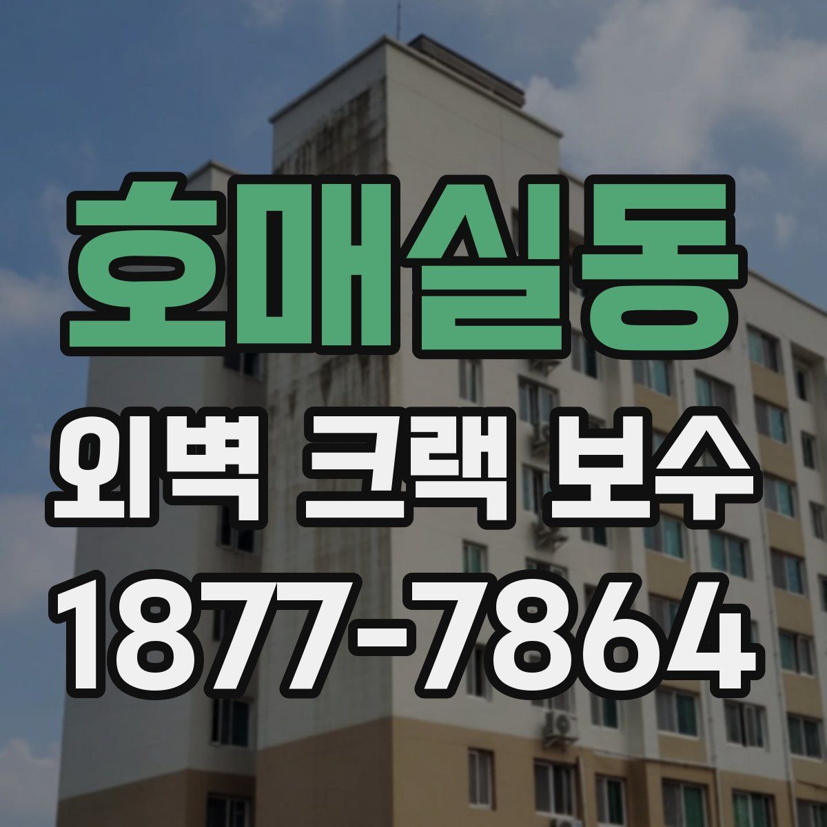 호매실동 외벽 크랙 보수