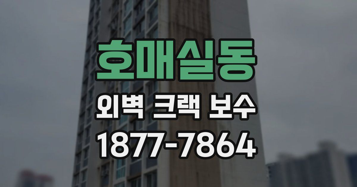 호매실동 외벽 크랙 보수