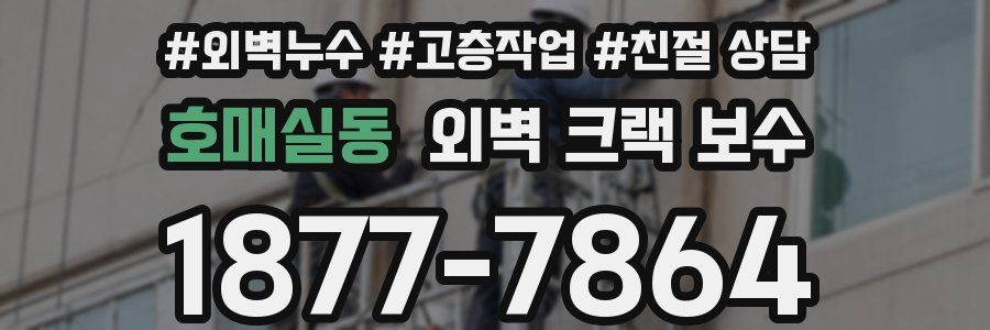 호매실동 외벽 크랙 보수
