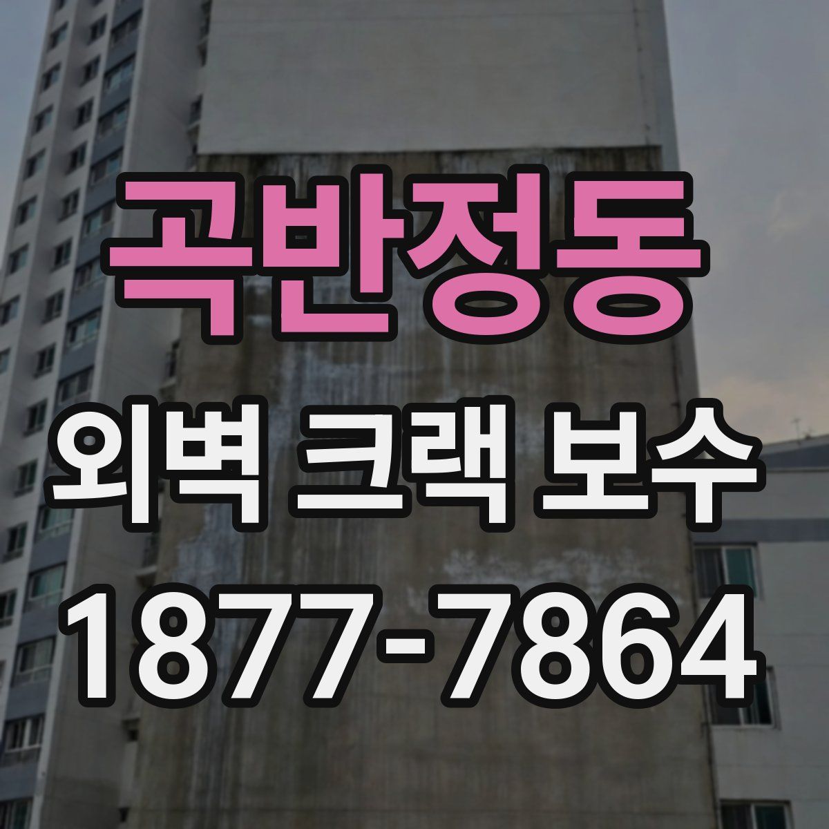곡반정동 외벽 크랙 보수