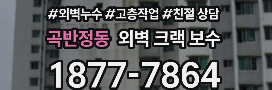 곡반정동 외벽 크랙 보수