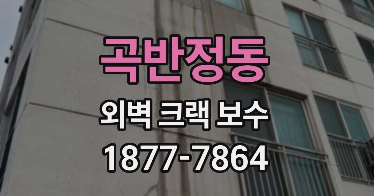 곡반정동 외벽 크랙 보수